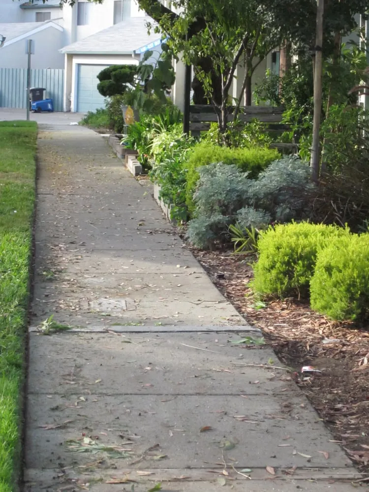 Reliable yard cleanup service in Fremont, CA - Del Conte's Landscaping