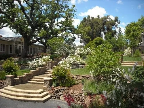 Expert landscape design experts serving Fremont, CA - Del Conte's Landscaping