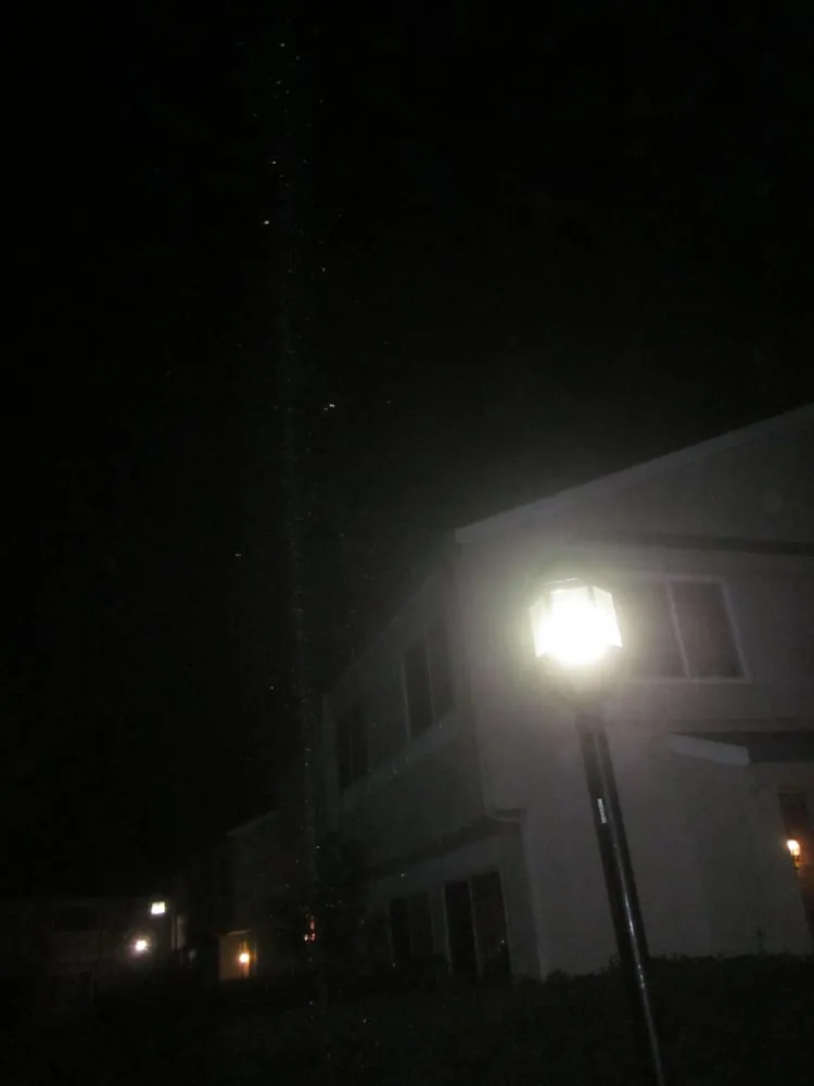 Trusted landscape design in Fremont, CA by Del Conte's Landscaping