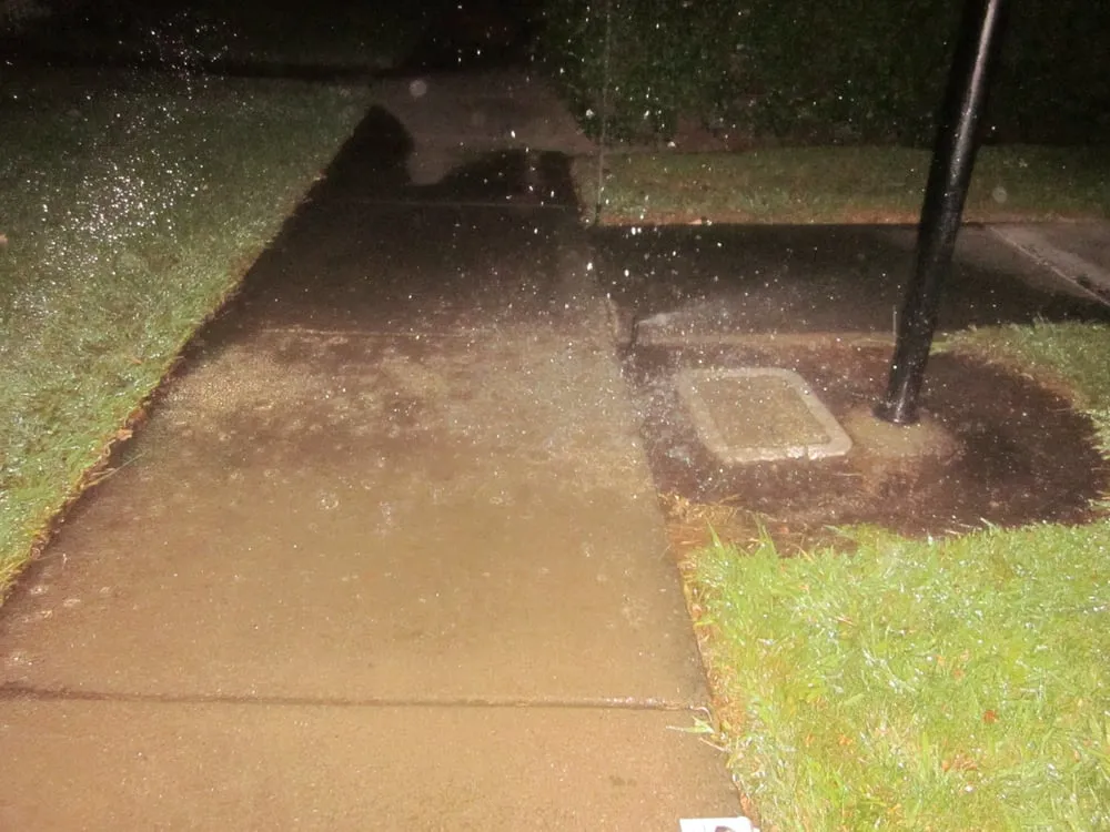 Local landscaping services in Fremont, CA by Del Conte's Landscaping