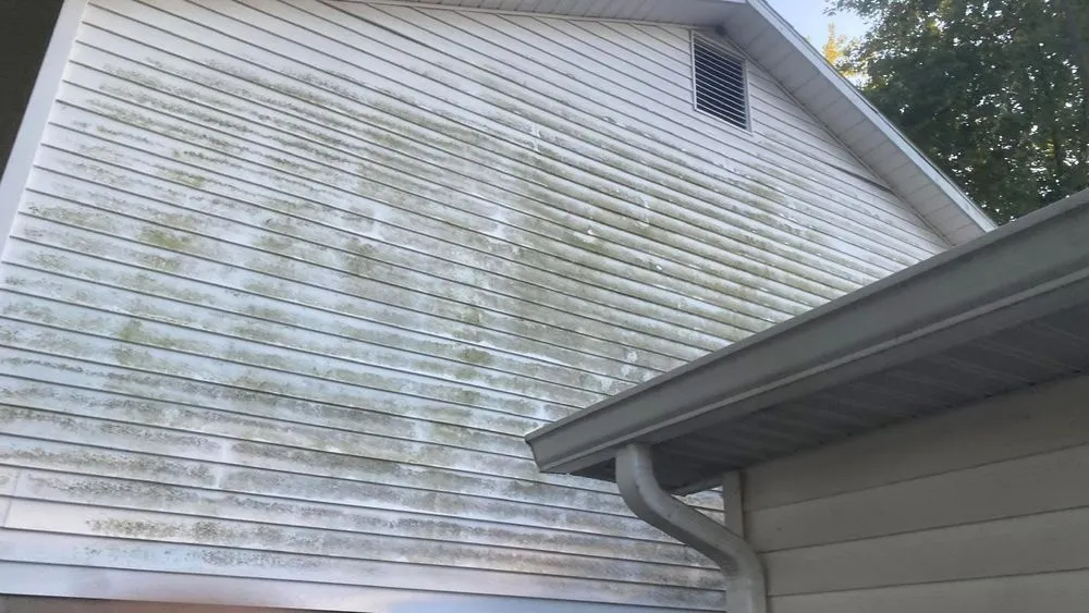 Reliable residential landscaping in Camilla, GA by Del Corp Enterprise