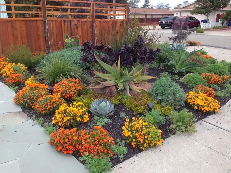 Trusted yard cleanup service for homes across San Diego, CA - Del Mar Landscapes