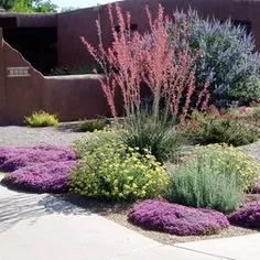 Top-rated yard cleanup service experts serving San Diego, CA - Del Mar Landscapes