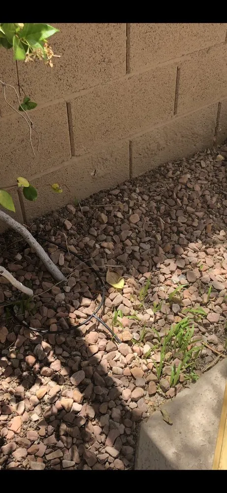 Professional residential landscaping in Henderson, NV - Del Mar Landscaping