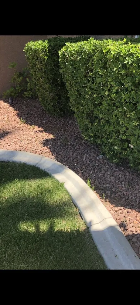 Expert lawn care service experts serving Henderson, NV - Del Mar Landscaping