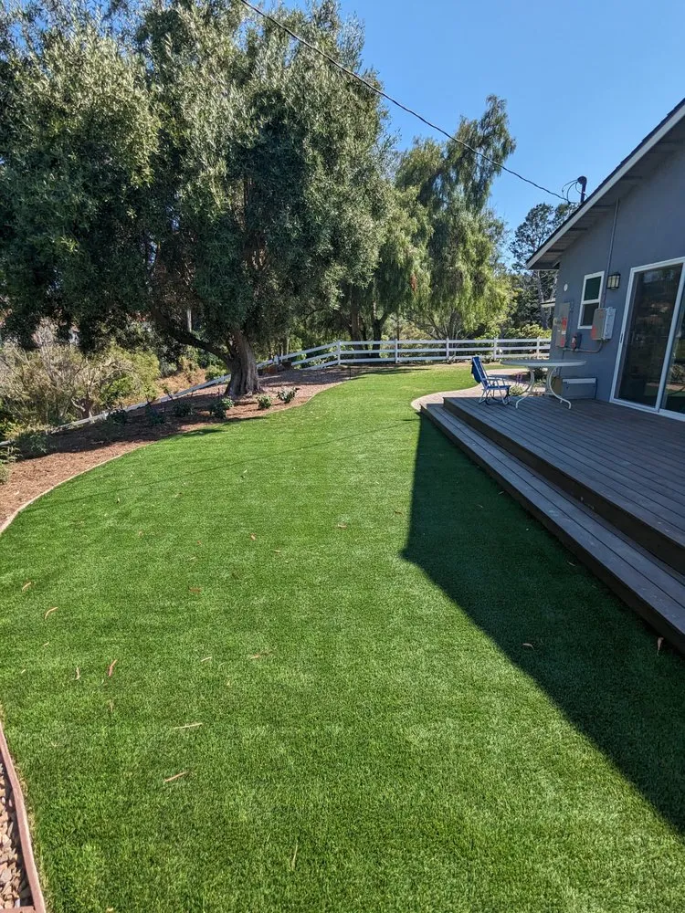 Professional yard cleanup service in Long Beach, CA - Del Mar Landscaping