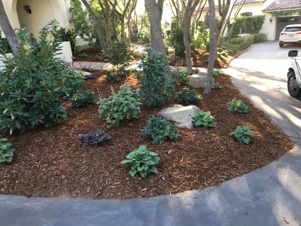 Custom yard maintenance experts serving Santa Barbara, CA - Del Monte Landscaping