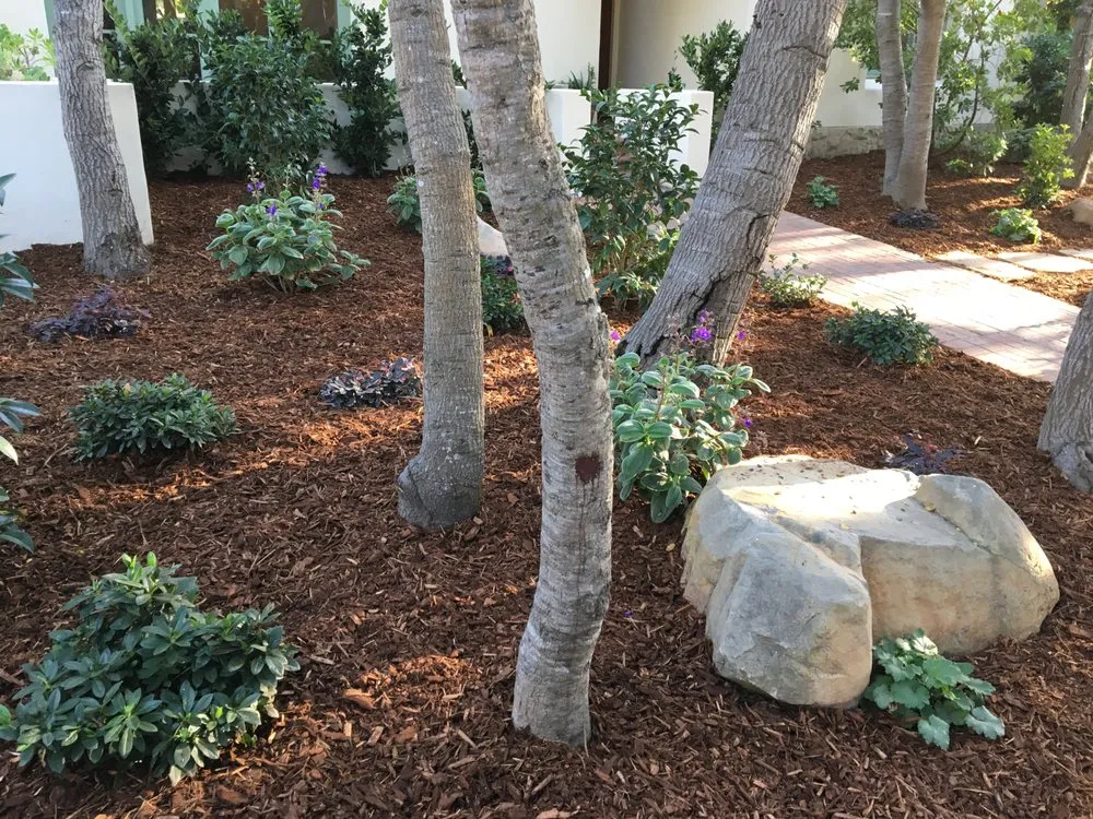 Expert garden landscaping in Santa Barbara, CA - Del Monte Landscaping