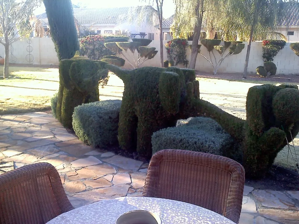 Trusted outdoor landscaping experts serving Casas Adobes, AZ - Del Oro Landscape & Design