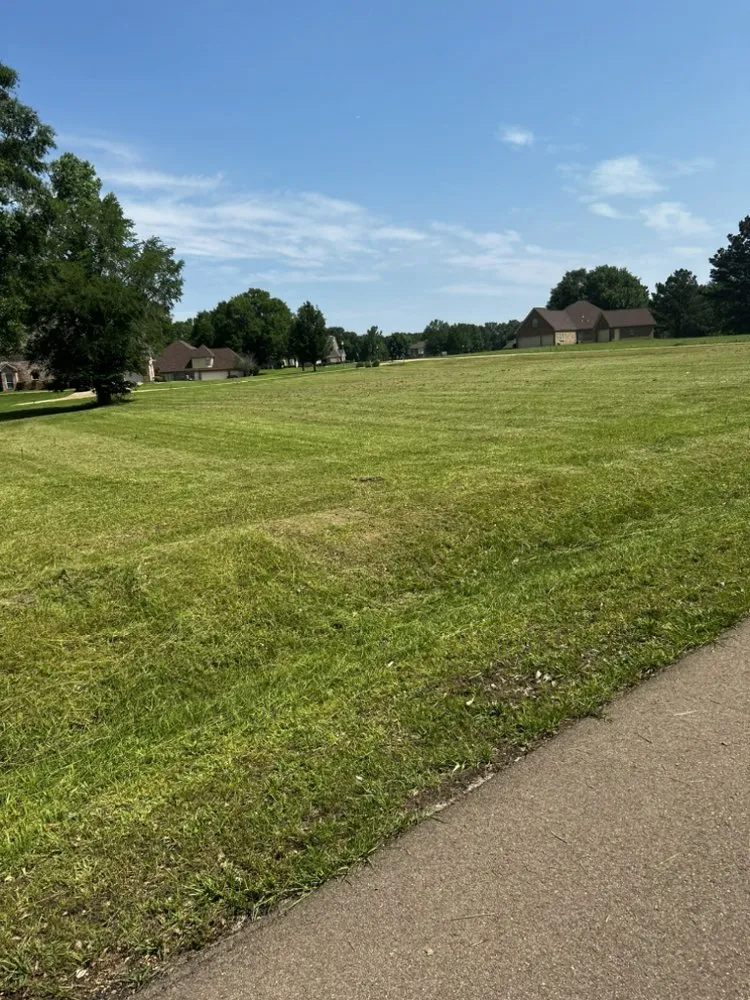 Local landscape design for outdoor upgrades in Jackson, MS by Del-Richard's Lawn & Landscape Service