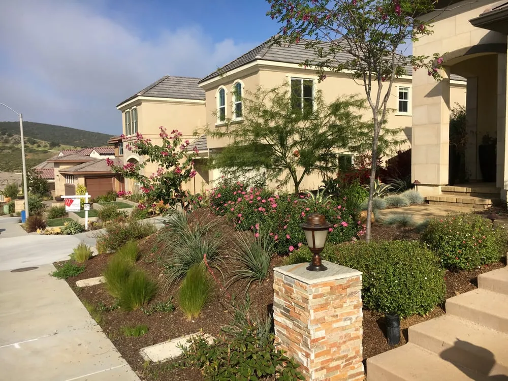 Expert yard cleanup service experts serving Carlsbad, CA - Del Rio Landscape