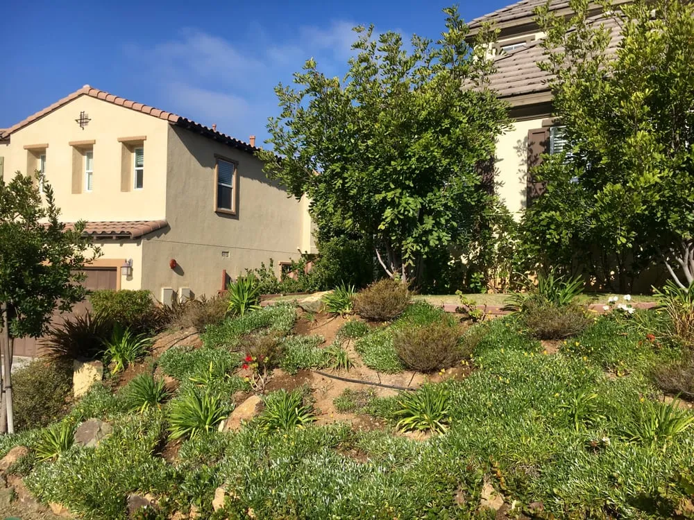 Custom lawn mowing service in Carlsbad, CA by Del Rio Landscape