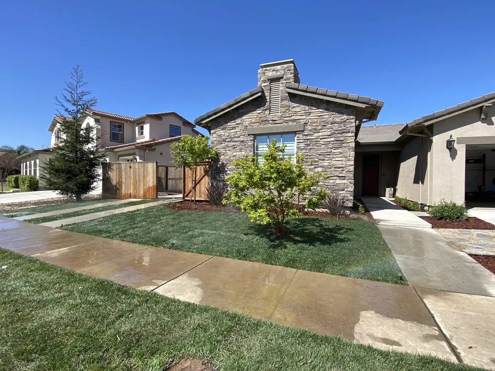 Custom yard cleanup service for residential properties in Modesto, CA by Del Rio Landscaping