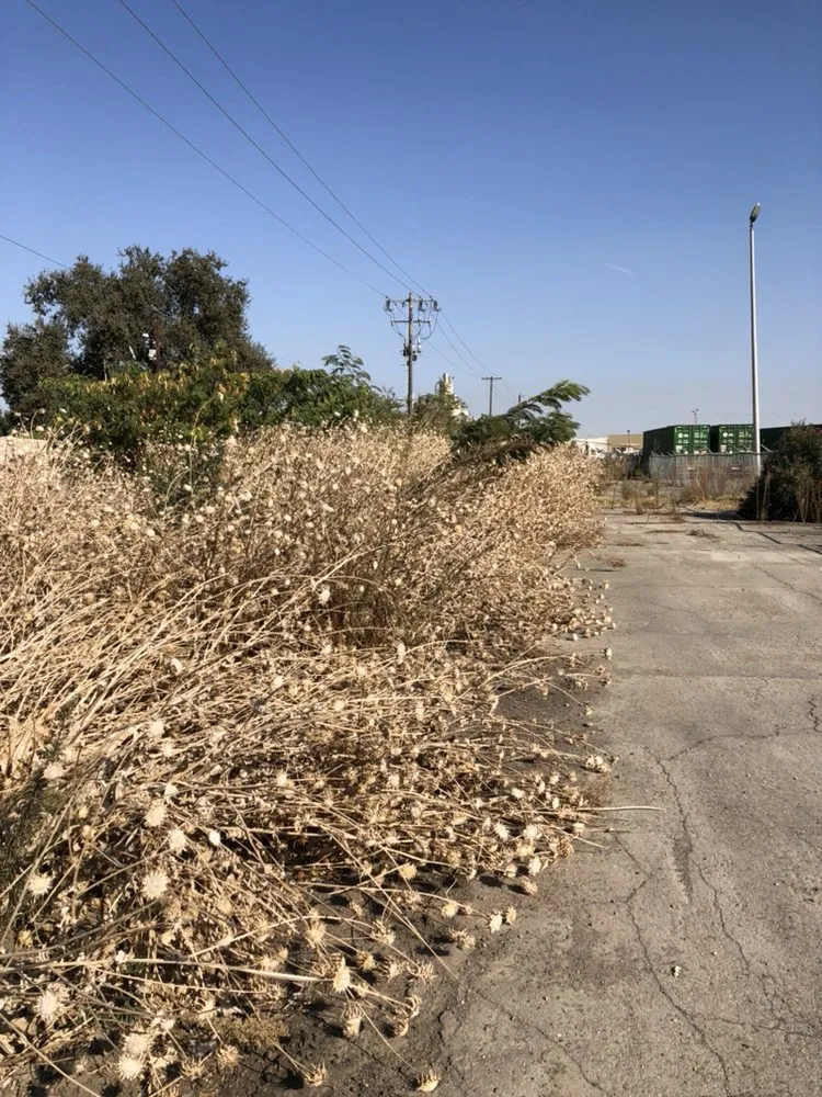 Top-rated garden landscaping for homes across Modesto, CA - Del Rio Landscaping