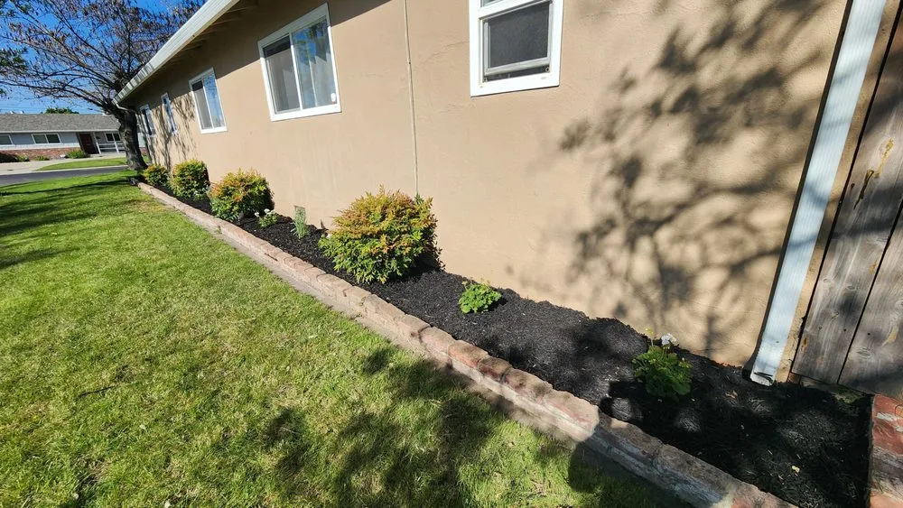 Expert lawn mowing service experts serving Modesto, CA - Del Rio Landscaping