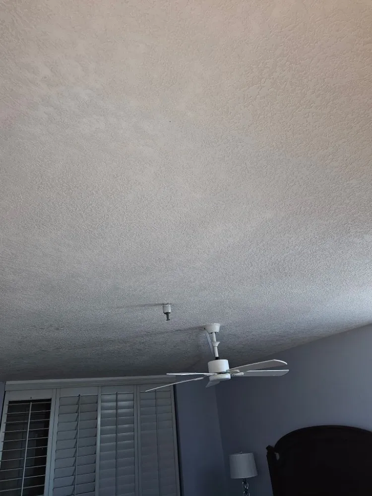 Professional landscape design in Spring Hill, FL by Del Sol Home Solutions