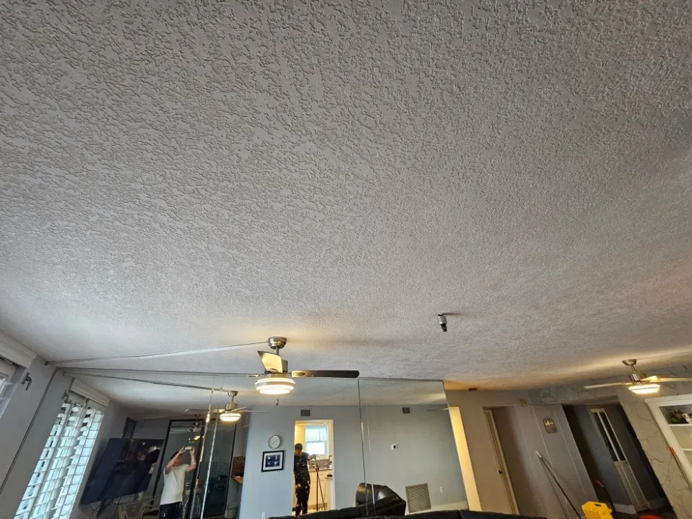 Reliable residential landscaping in Spring Hill, FL - Del Sol Home Solutions