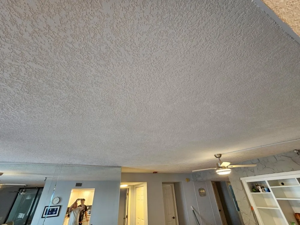 Local landscaping services in Spring Hill, FL by Del Sol Home Solutions