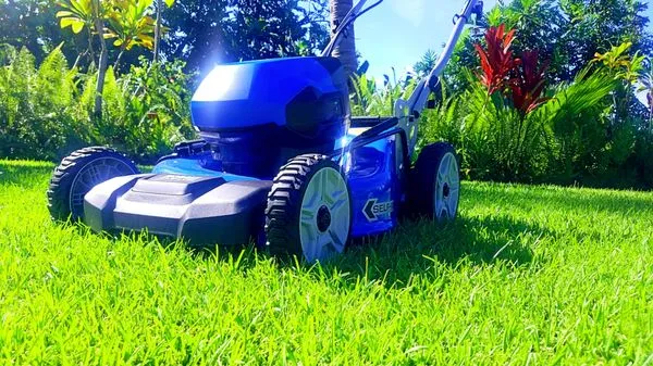 Del Sol Lawn Care Logo