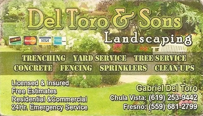 Affordable yard cleanup service in Chula Vista, CA by Del Toro & Sons Landscaping Company