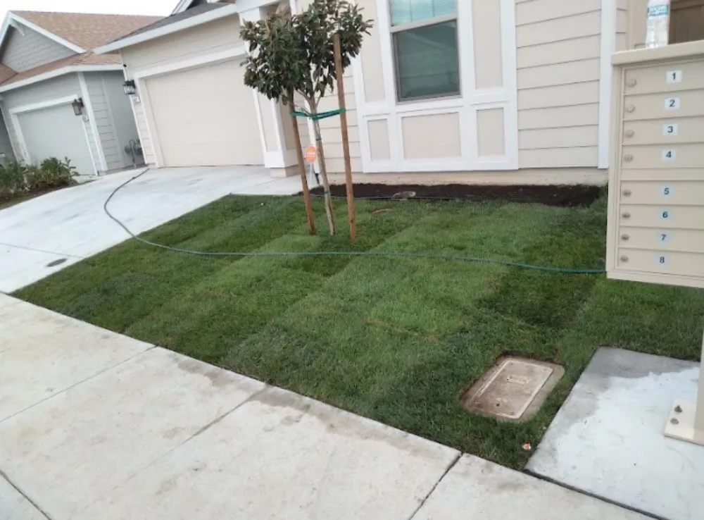 Reliable residential landscaping experts serving Linda, CA - Del Toro J&M lawn care care