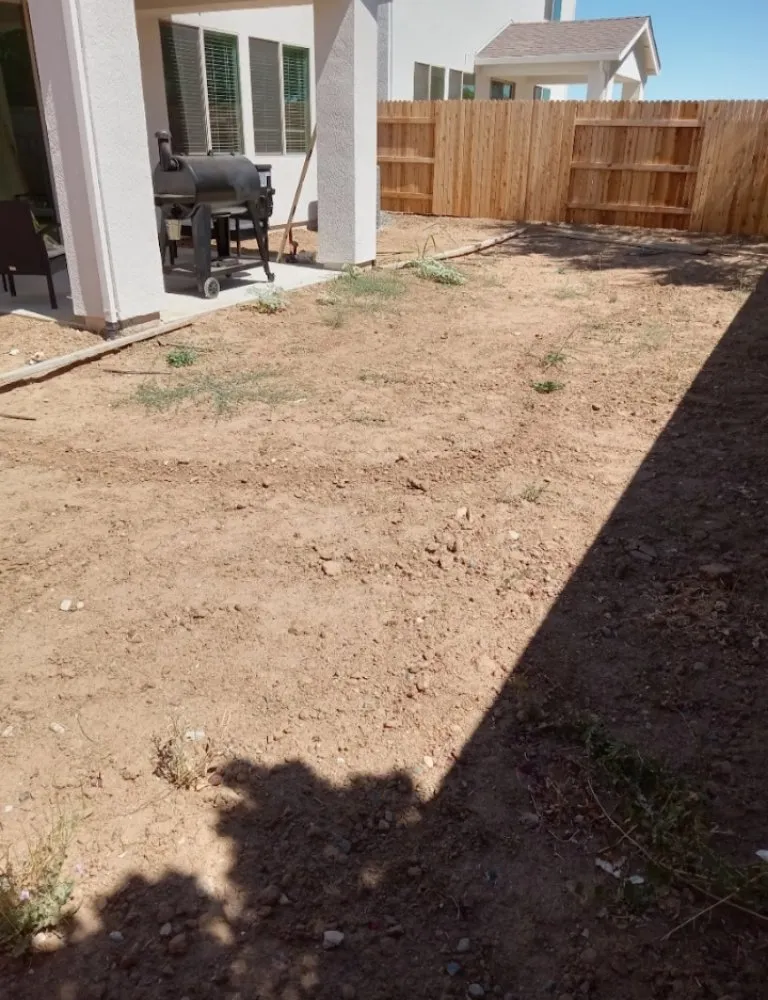 Professional yard cleanup service with custom design across Linda, CA - Del Toro J&M lawn care care