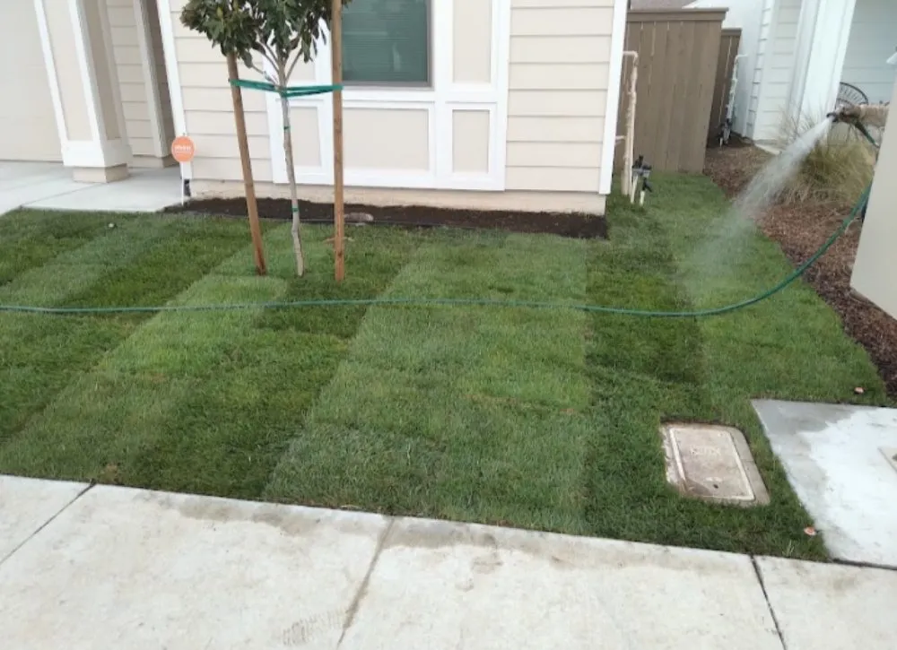 Reliable landscape installation in Linda, CA by Del Toro J&M lawn care care