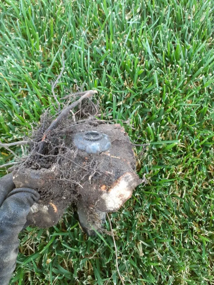 Top-rated yard maintenance in Modesto, CA - Del Toro Landscape