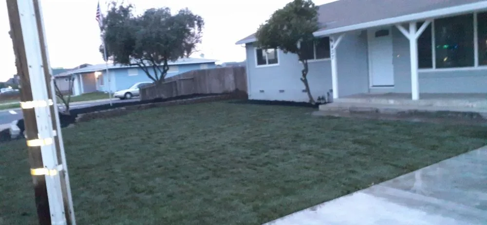 Local landscaping services for beautiful yards across Modesto, CA - Del Toro Landscape