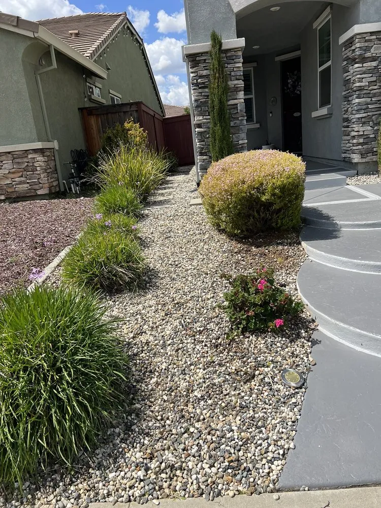 Affordable yard cleanup service for homes in Lincoln, CA by Del Toro Lawn Care