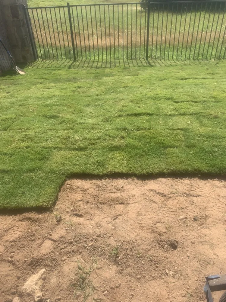 Professional yard cleanup service for homes across Del Valle, TX - Del Valle Landscape and Maintenance