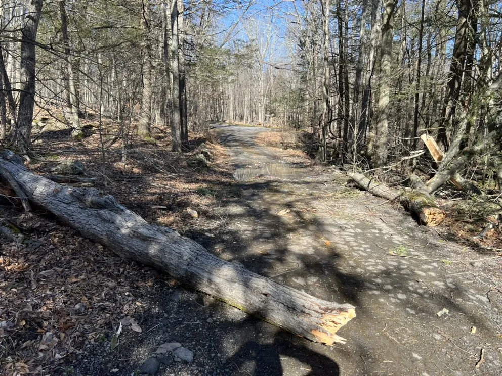 Top-rated residential landscaping for outdoor upgrades across Chichester, NY - Del Valle Landscaping