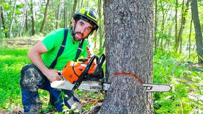Expert yard maintenance in Chichester, NY by Del Valle Landscaping