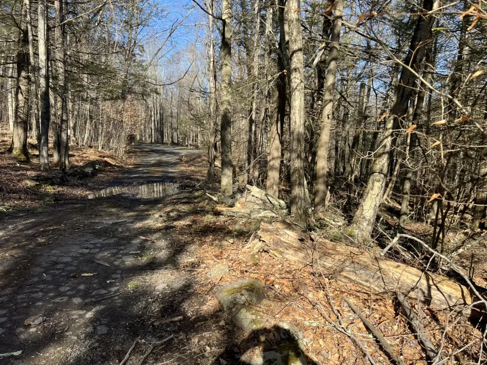Trusted yard maintenance in Chichester, NY by Del Valle Landscaping