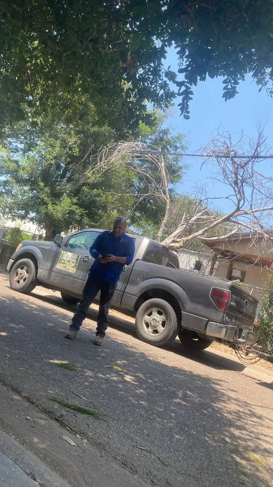 Top-rated garden landscaping experts serving Laredo, TX - Del Valle Landscaping