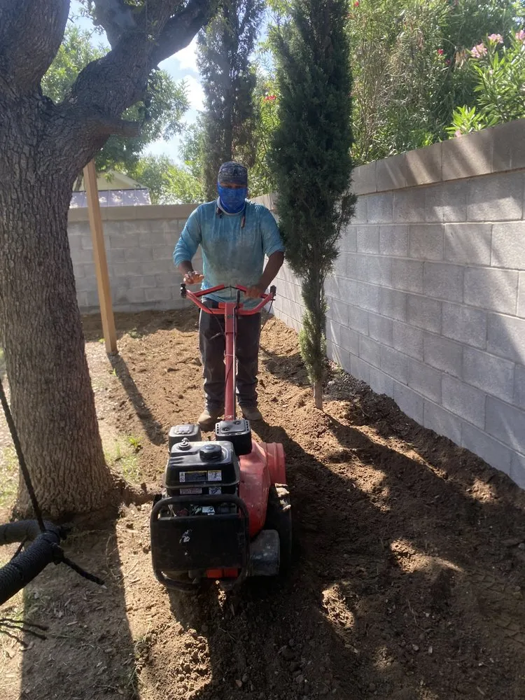 Trusted landscape installation with custom design in Laredo, TX by Del Valle Landscaping