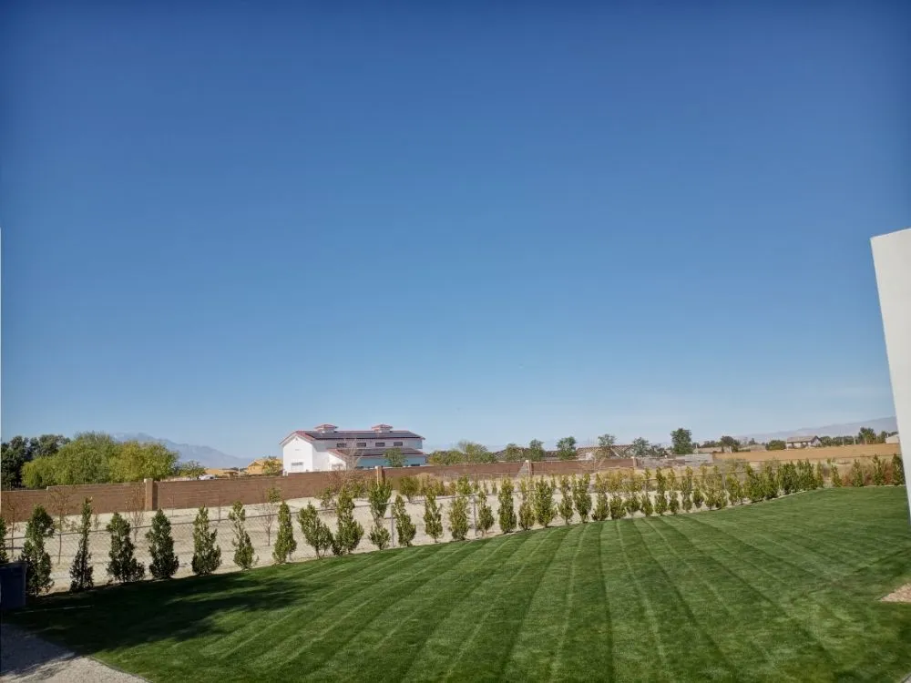 Expert yard maintenance experts serving Cathedral City, CA - Del Villal Gardening