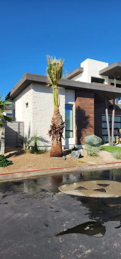 Affordable yard cleanup service for homes across Cathedral City, CA - Del Villal Gardening