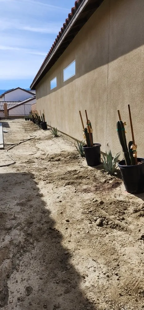 Expert lawn care service in Cathedral City, CA by Del Villal Gardening