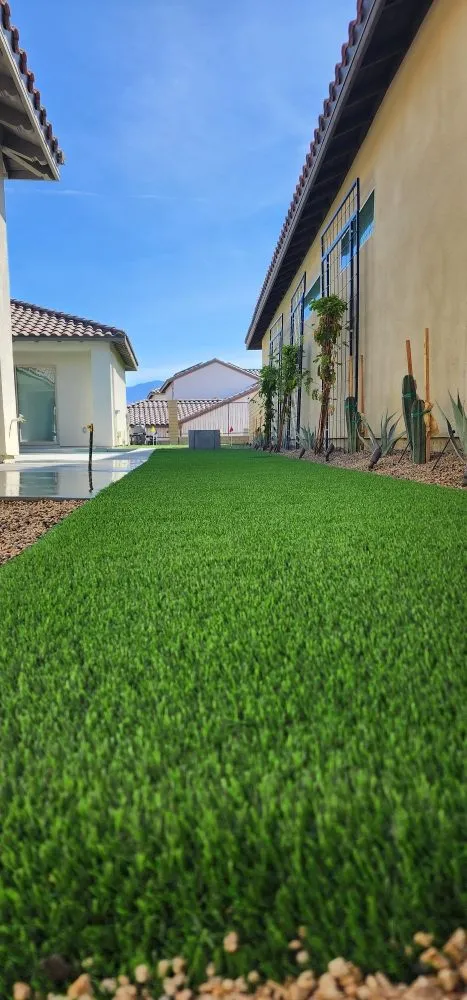 Expert yard maintenance experts serving Cathedral City, CA - Del Villal Gardening