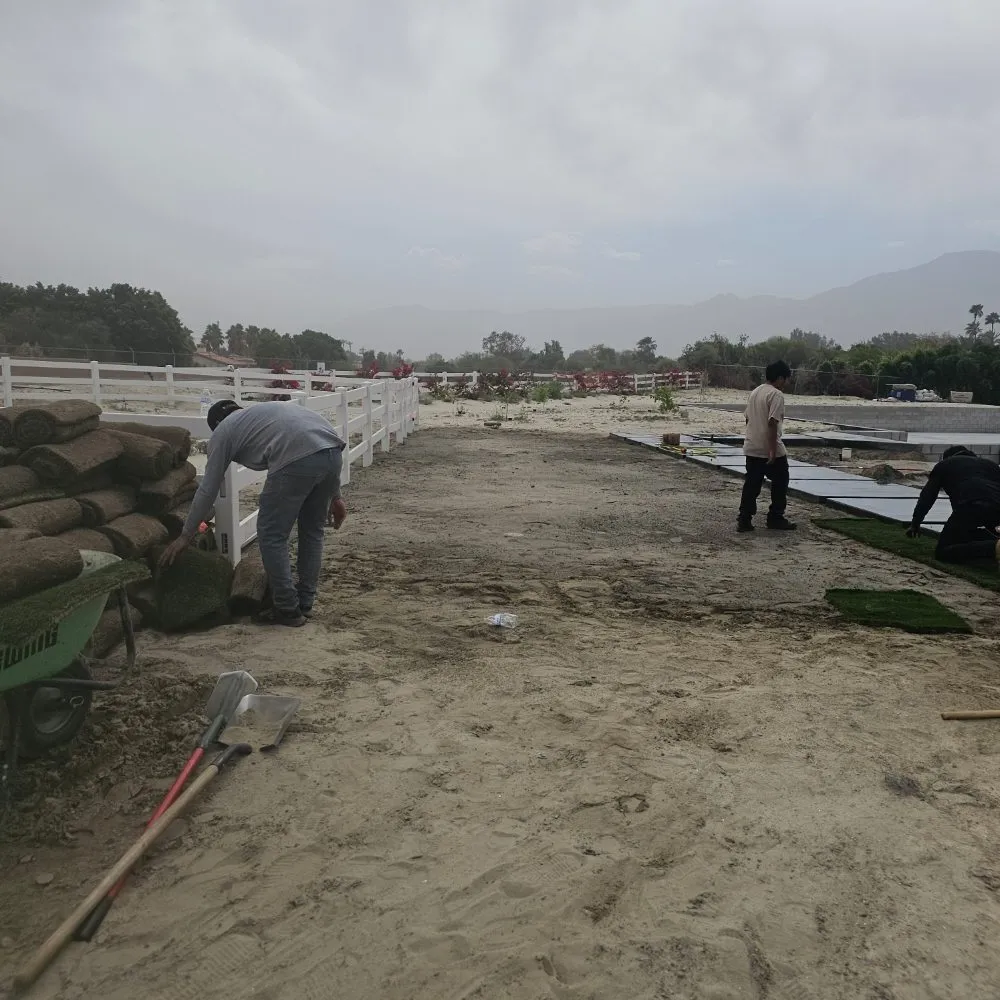 Local yard maintenance in Cathedral City, CA - Del Villal Gardening