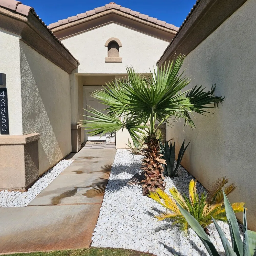 Custom landscaping services for year-round maintenance in Cathedral City, CA by Del Villal Gardening