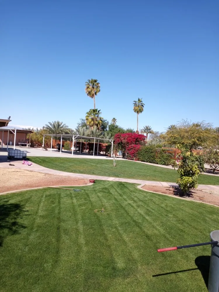Expert residential landscaping in Cathedral City, CA - Del Villal Gardening