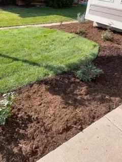 Professional landscaping services in Fort Collins, CO by Delacruz