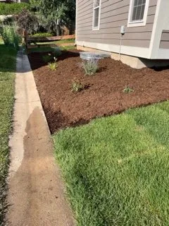 Reliable landscape installation in Fort Collins, CO - Delacruz