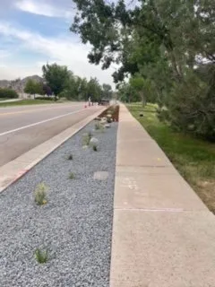 Custom garden landscaping experts serving Fort Collins, CO - Delacruz