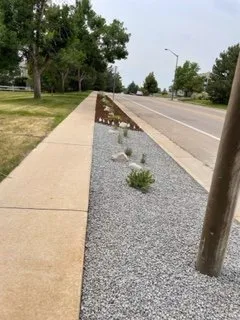 Trusted landscaping services in Fort Collins, CO - Delacruz