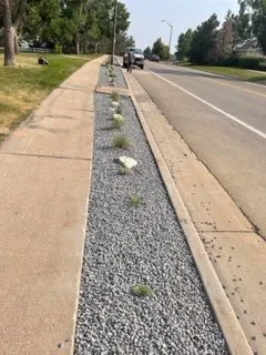 Professional yard cleanup service for beautiful yards in Fort Collins, CO by Delacruz