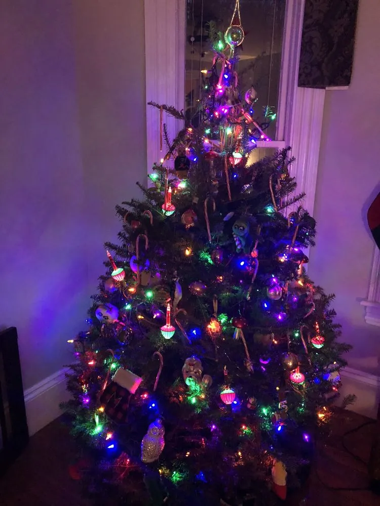 Top-rated lawn mowing service in Derry, NH by Delahunty Garden & Landscape Center