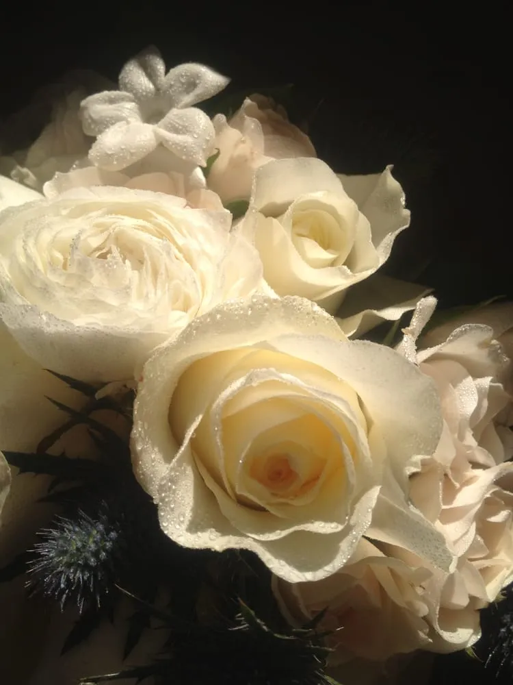 Professional garden landscaping experts serving Derry, NH - Delahunty Garden & Landscape Center